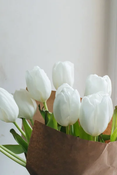 Piękne Białe Tulipany Szablon Karty Okolicznościowe — Zdjęcie stockowe