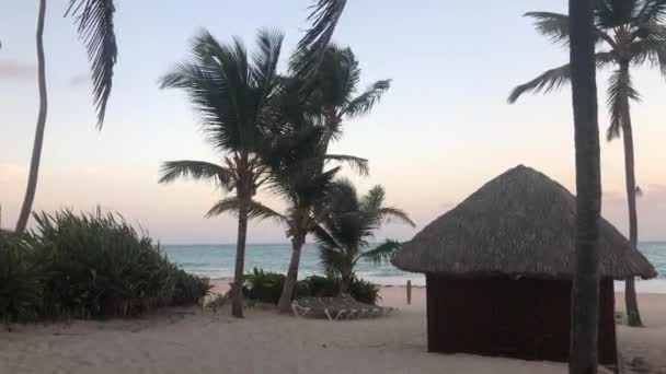 Strohhütte mit Palmen am Meer — Stockvideo