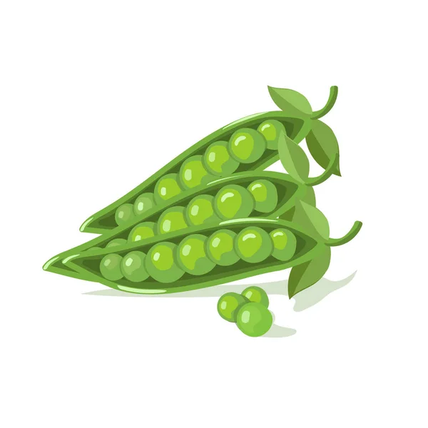 Karikatür yeşil bezelye. Vektör çizim.