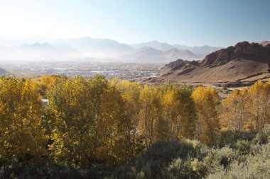 Tibet Drepung Manastırı