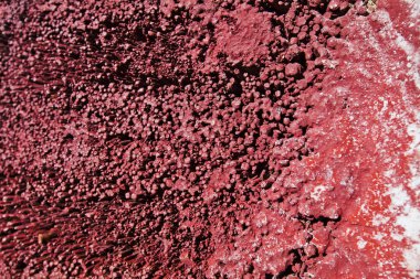 Kırmızı terry texura dalları ile