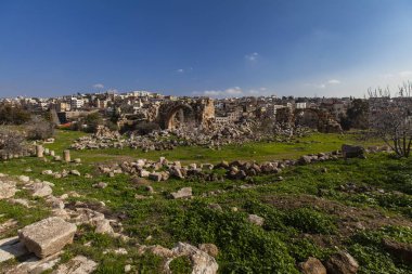 Antik Kenti: Jerash, Jordan