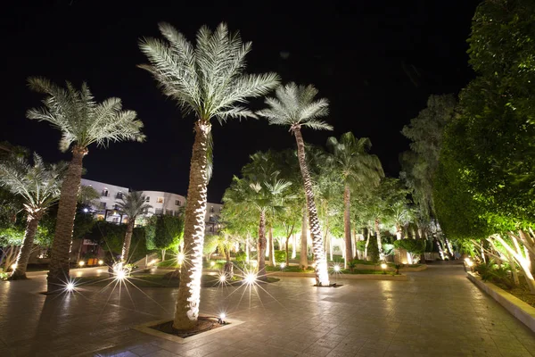 Illuminated Hotel Jordan — Stock Photo, Image