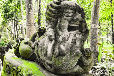 Maymun orman Ubud, Bali