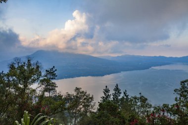 Bali Ubud Eyaleti Manzarası