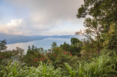 Bali Ubud Eyaleti Manzarası