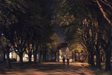 Pencerelerden gelen ışık ağaçların yapraklarını aydınlatıyor.