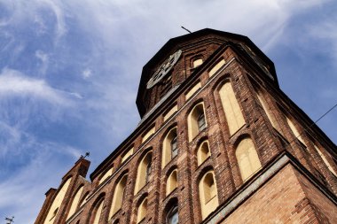 Kaliningrad şehrinde Katedral