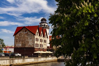 Kaliningrad şehrinin merkezi sokaklarının görünümü