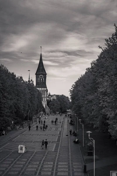 Cathédrale Kaliningrad — Photo
