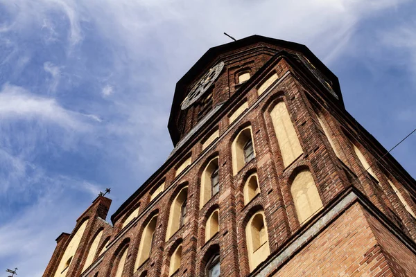 Kaliningrad şehrinde Katedral