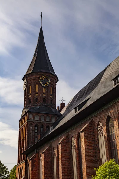 Kaliningrad Şehrinde Katedral — Stok fotoğraf