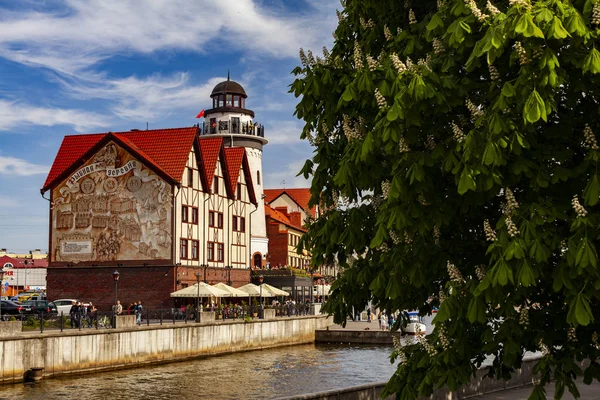 Kaliningrad şehrinin merkezi sokaklarının görünümü