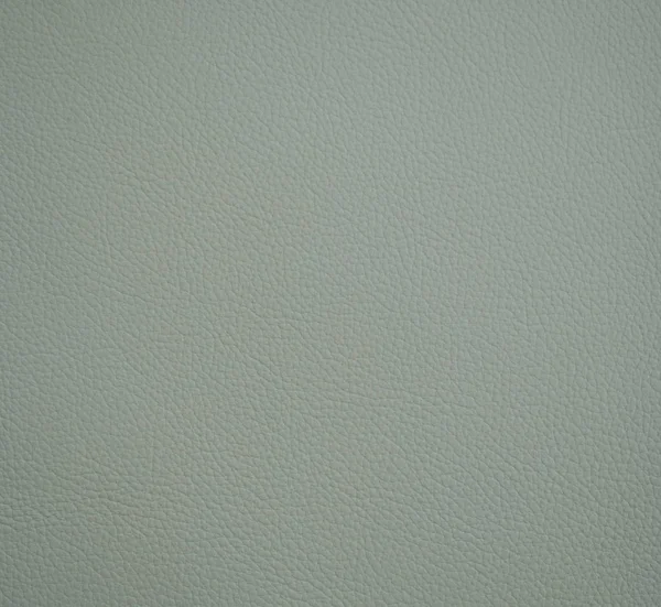 Absint Läder Texture För Bakgrund — Stockfoto