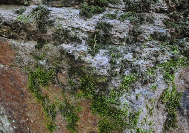 Güzel bir taş yüksek resolution.nthe görüntünün dokusuna grafik tasarımında çalışmanız için uygundur.