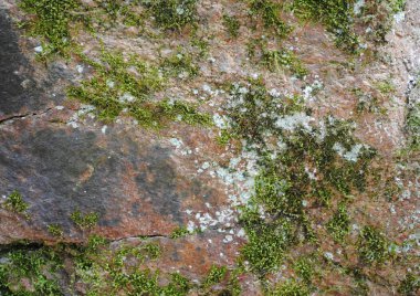 Güzel bir taş yüksek resolution.nthe görüntünün dokusuna grafik tasarımında çalışmanız için uygundur.