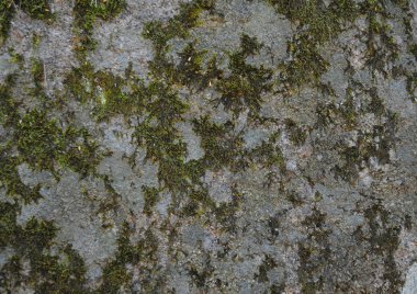 Güzel bir taş yüksek resolution.nthe görüntünün dokusuna grafik tasarımında çalışmanız için uygundur.