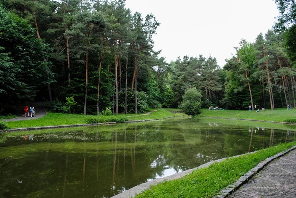 Bellissimo Arboreto Verde Nel Parco Sofiyivka Bellezza Indimenticabile Ucraina — Foto Stock