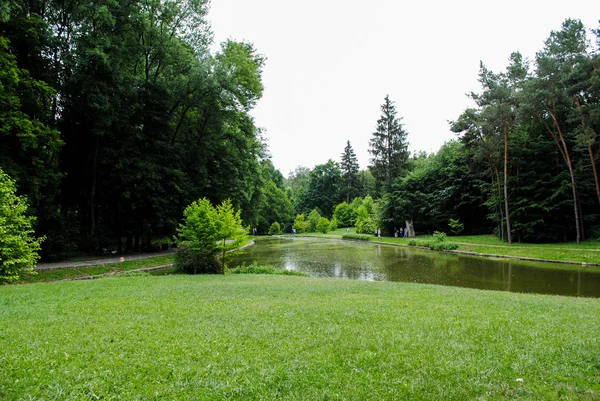 Bellissimo Arboreto Verde Nel Parco Sofiyivka Bellezza Indimenticabile Ucraina — Foto Stock