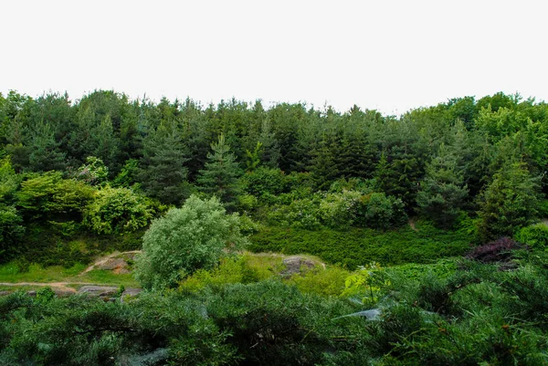 Beautiful Green Arboretum Park Sofiyivka Unforgettable Beauty Ukraine — Stock Photo, Image