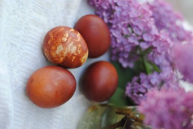 Fotoğraflar Paskalya yumurta leylak dalı arka plan üzerinde.