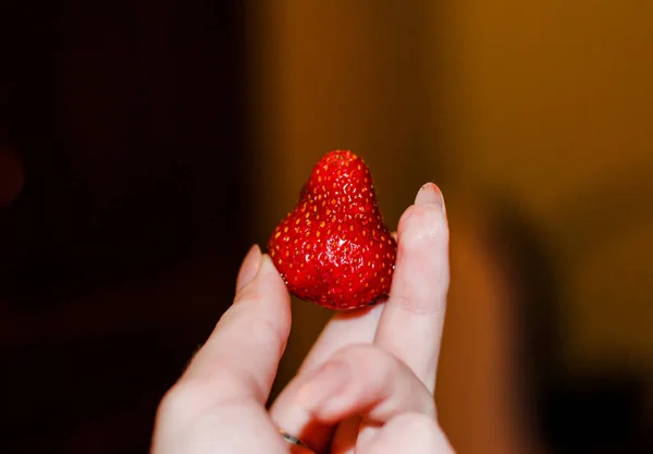 Saftige Rote Erdbeeren Weiblichen Händen Verwenden Sie Dieses Foto Für — Stockfoto
