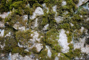 Yüksek çözünürlüklü taşın güzel dokusu. Resim grafik tasarımı çalışmalarınız için uygundur.