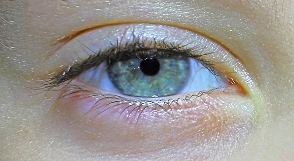 Zbliżenie Niebieski Oko Dziecka Wygląd Brwi — Zdjęcie stockowe