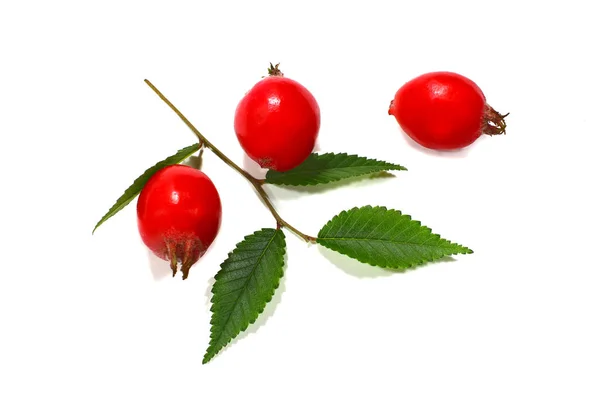 緑の葉の背景 白い素朴なテーブルのクローズ アップと新鮮な赤い果実 健康食品 — ストック写真