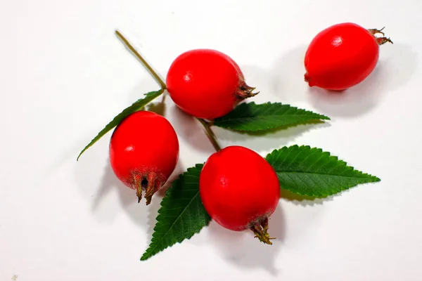 Bayas Rojas Frescas Con Hojas Verdes Fondo Macro Mesa Blanca — Foto de Stock