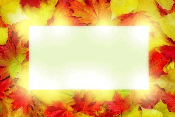 秋季背景图案 枫叶元素空白空间为文本 孤立白色中心 — 图库照片