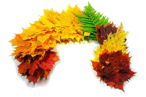 Sonbahar arka plan, akçaağaç yaprakları, tek bir satırda, mevsimsel değişiklikler toplanan unsurları