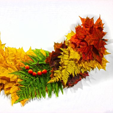 Sonbahar arka plan, akçaağaç yaprakları, tek bir satırda, mevsimsel değişiklikler toplanan unsurları