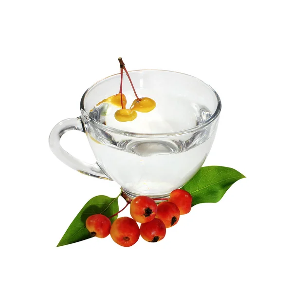 Köstliche Hausgemachte Cocktail Mit Frischen Beeren Einem Glas Isoliert Vor — Stockfoto