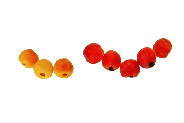 Berry Merah Segar Terisolasi Pada Latar Belakang Putih Makanan Sehat — Stok Foto