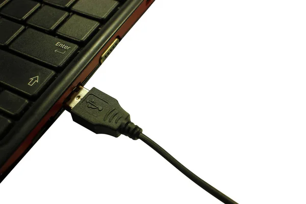 Bilgisayarın Kablosu Hızlarda Çalışan Ağlar Oluşturmak Için Kullanılır — Stok fotoğraf