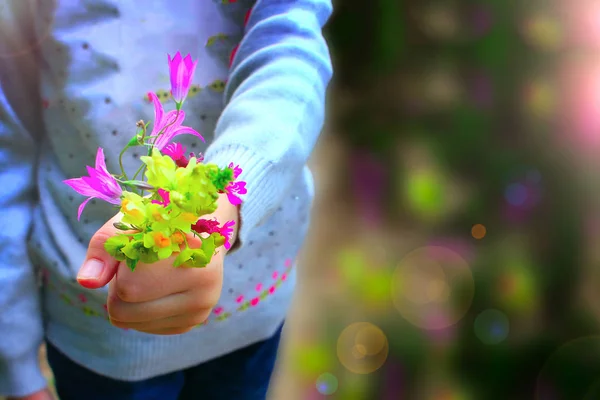 Blommande Blommor Händerna Ett Barn Tonas — Stockfoto