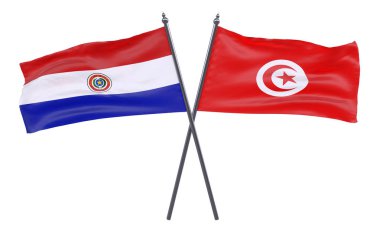 Paraguay ve Tunus, iki beyaz arka plan üzerinde izole bayrakları geçti. 3D görüntü