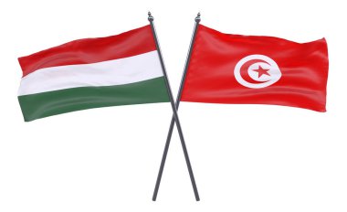 Macaristan ve Tunus, iki beyaz arka plan üzerinde izole bayrakları geçti. 3D görüntü