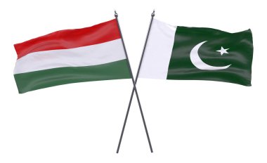 Macaristan ve Pakistan, iki beyaz arka plan üzerinde izole bayrakları geçti. 3D görüntü