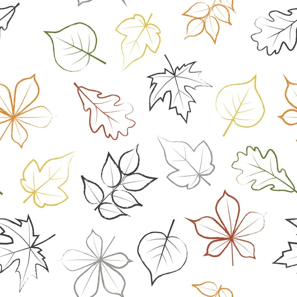 Naadloze Vector Patroon Met Kleurrijke Hand Getrokken Herfst Bladeren — Stockvector