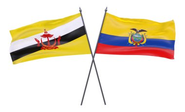 Brunei ve Ekvador, iki beyaz arka plan üzerinde izole bayrakları geçti