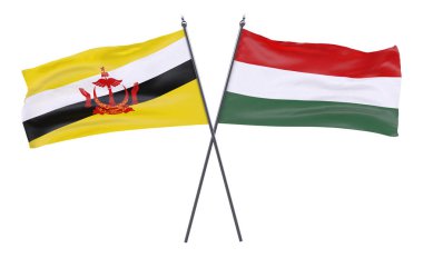 Brunei ve Macaristan, iki beyaz arka plan üzerinde izole bayrakları geçti