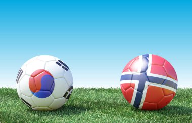 Yeşil çim bayrakları renkleri iki futbol topları. Güney Kore ve Norveç. 3B görüntü