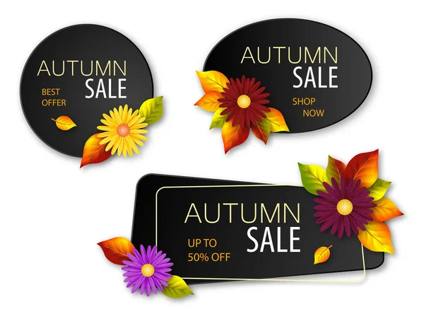 Conjunto Banners Venda Outono Com Flores Realistas Folhas Outono Ilustração — Vetor de Stock