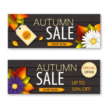 Gerçekçi çiçekler ve koyu ahşap arka plan üzerinde sonbahar satış afiş seti. Vektör çizimi
