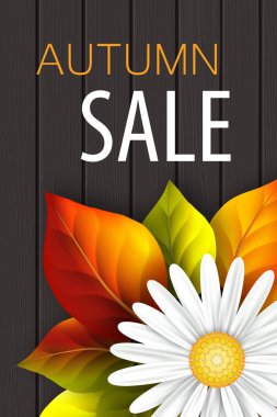 Gerçekçi sonbahar yaprakları ve koyu ahşap arka plan üzerinde beyaz papatya ile Sonbahar satış afiş. Vektör çizimi