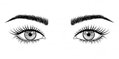 Vector black and white hand-drawn image of eyes with eyebrows and long eyelashes. Fashion illustration. EPS 10. clipart
