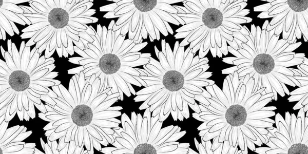 Vektör Arka Plan Çizilmiş Papatya Papatya Çiçek Siyah Beyaz Dikişsiz — Stok Vektör