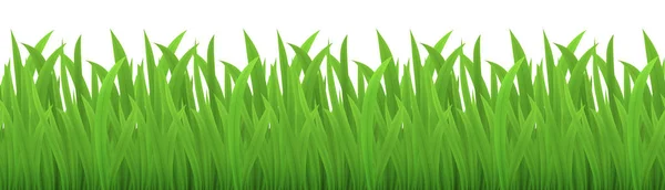 Vector Seamless Image Green Grass Isolated White Eps — Stock Vector